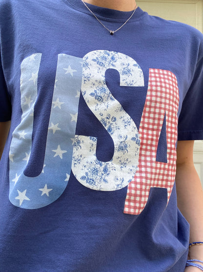 USA Picnic Graphic Tee