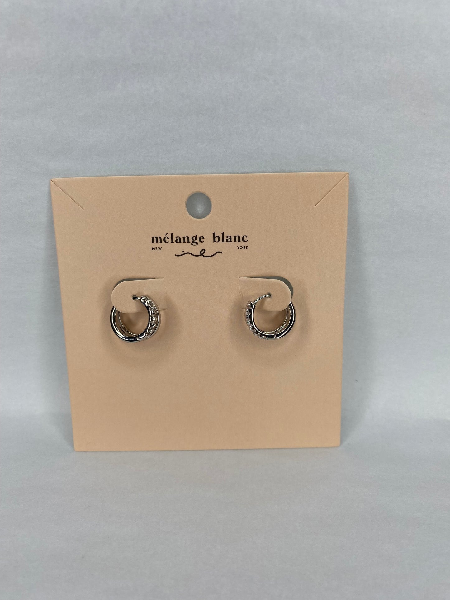 Double Hoop Earring