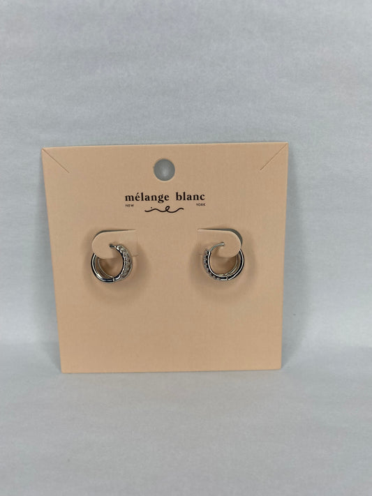 Double Hoop Earring